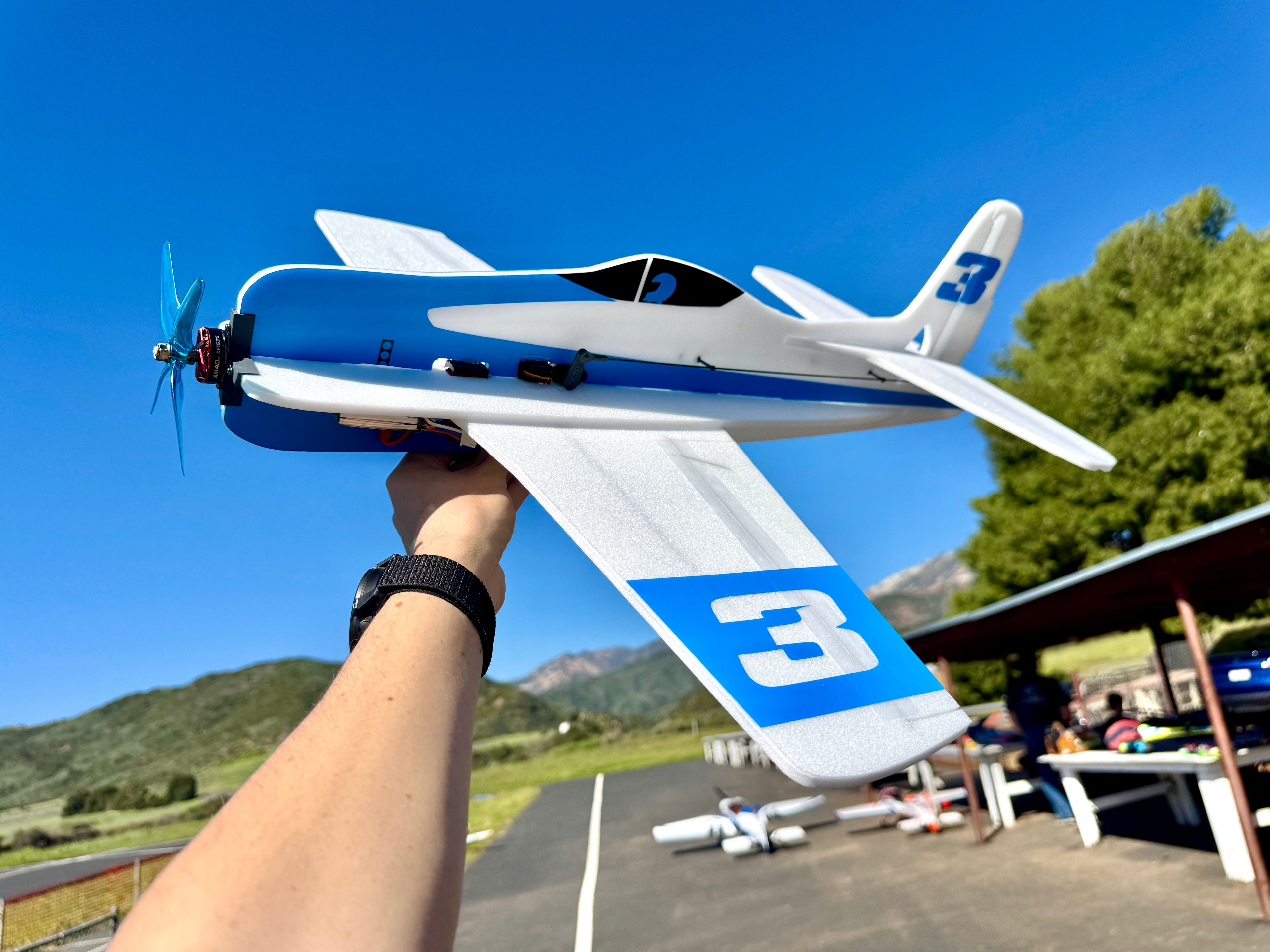 Person holding a model airplane with blue and white design, outdoors with clear sky and trees.