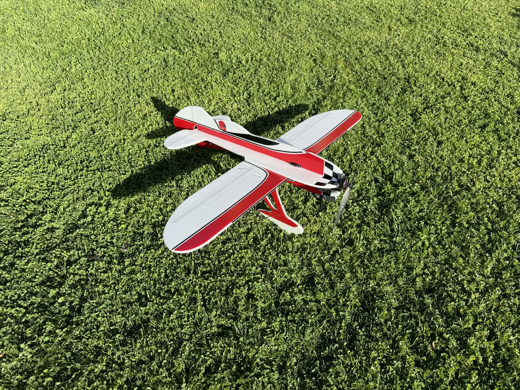 GeeBee from the op and front